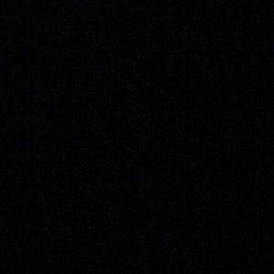 Meet your Posher, Riley